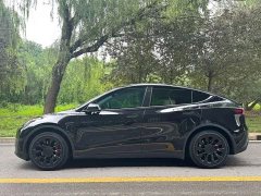 Tesla Model Y rear-wheel drive version - фото 9