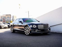 Volkswagen 4.0T V8 Mulliner - фото 6