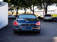 Volkswagen 4.0T V8 Mulliner - фото 9