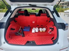 Changan CS55PLUS 1.5T DCTPremium Version - фото 4