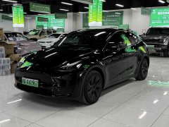 Tesla Model Y Edition - фото 1