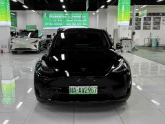 Tesla Model Y Edition - фото 2