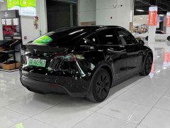 Tesla Model Y Edition - фото 9