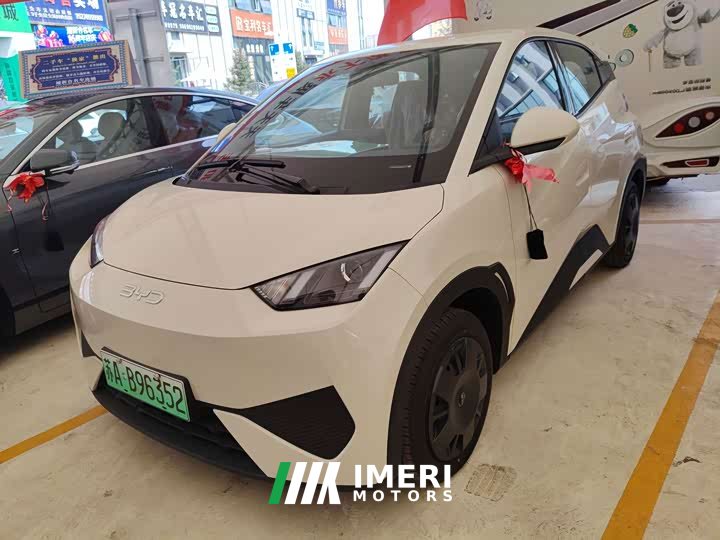 BYD Smart Drive Edition 305km Edition - автомобиль из Китая