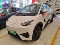 BYD Smart Drive Edition 305km Edition - фото 1