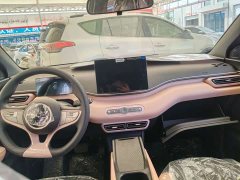 BYD Smart Drive Edition 305km Edition - фото 4