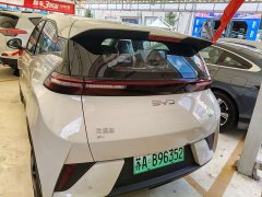 BYD Smart Drive Edition 305km Edition - фото 6