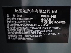 Yangwang U8 Luxury Edition - фото 13