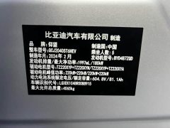 Yangwang U8 Luxury Edition - фото 8