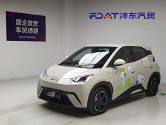 BYD Edition - фото 1