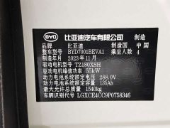 BYD Edition - фото 11
