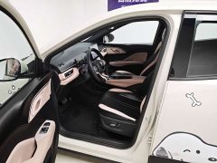 BYD Edition - фото 13