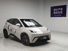 BYD Edition - фото 3