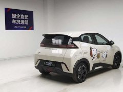 BYD Edition - фото 4