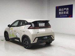 BYD Edition - фото 6