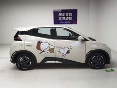 BYD Edition - фото 7