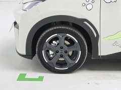 BYD Edition - фото 8