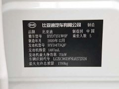 BYD 1.5L Luxury Version - фото 11