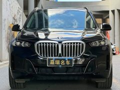 BMW X5 xDrive 30Li Deluxe VersionM - фото 2