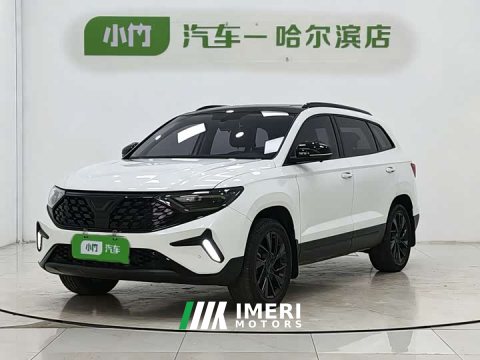 2023 2.5G VS7 280TSI Edition - автомобиль из Китая