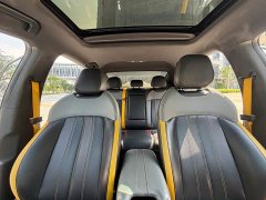 Trumpchi Shadow Leopard 2021 270T DCT J15 version - фото 11