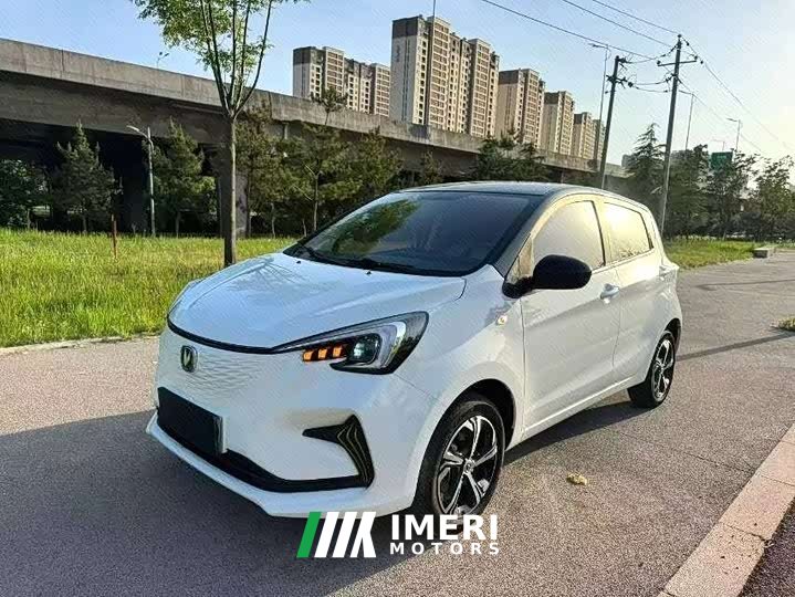 BYD E-Star Edition