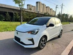 BYD E-Star Edition - фото 1