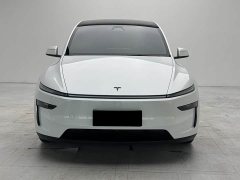 Tesla Model Y L Long Range Edition - фото 1