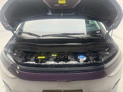 Xpeng X9 EV 650Long Range Max - фото 10
