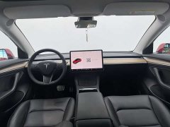 Tesla Model 3 PerformancePerformance Edition - фото 13