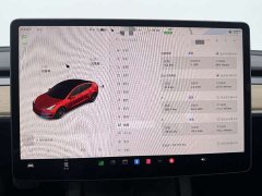 Tesla Model 3 PerformancePerformance Edition - фото 16