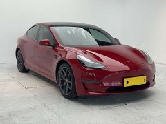 Tesla Model 3 PerformancePerformance Edition - фото 2