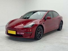 Tesla Model 3 PerformancePerformance Edition - фото 4