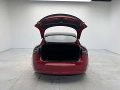 Tesla Model 3 PerformancePerformance Edition - фото 8