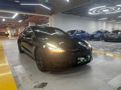 Tesla Model 3 2021 Standard Range Rear Drive Upgraded Version - фото 3