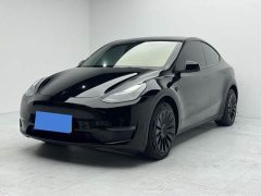 Tesla Model Y Standard Range Edition - фото 1