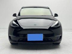Tesla Model Y Standard Range Edition - фото 2