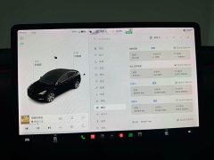 Tesla Model Y Standard Range Edition - фото 9