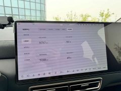 Li Auto Ideal MEGA 2025 Home Family Special Edition - фото 11