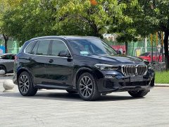 BMW X5 xDrive30i M - фото 18