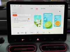 BMW smart#1 Premium Edition - фото 13