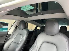 Tesla Model 3 PerformancePerformance Edition - фото 12