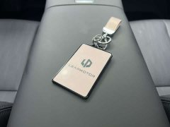 Leapmotor B01 550 Edition - фото 13