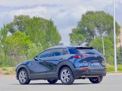 Mazda CX-30 2.0L automatic Jiayue type - фото 4
