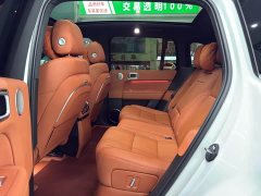 Li Auto L6 Max - фото 19