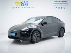 Tesla Model Y Edition - фото 1