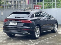 Audi Q8 45 TFSI Luxury Version - фото 9