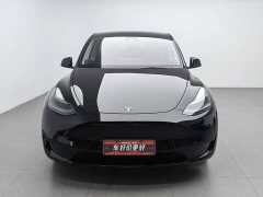 Tesla Model Y Edition - фото 3