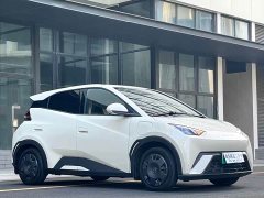 BYD Edition - фото 3
