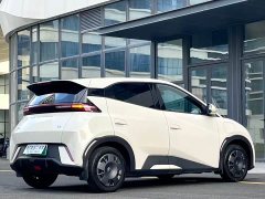 BYD Edition - фото 6